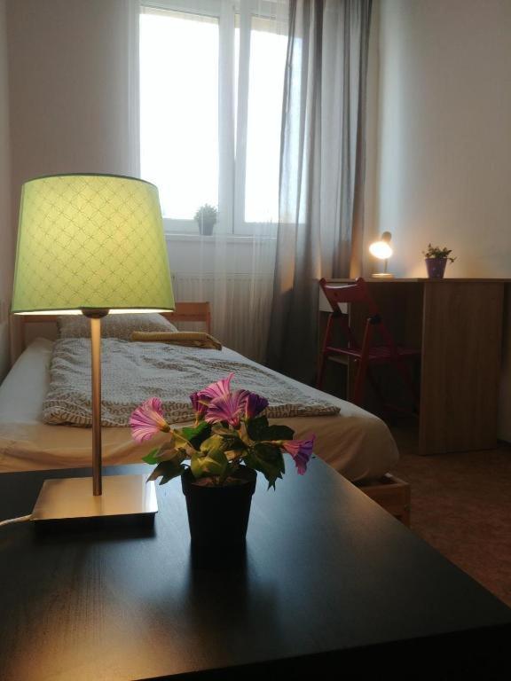 Near Main Railway And Bus Station Apartment Brno Exterior photo
